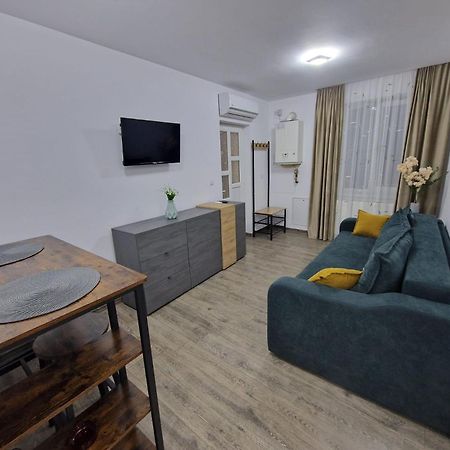 Home Studio Сигишоара Экстерьер фото