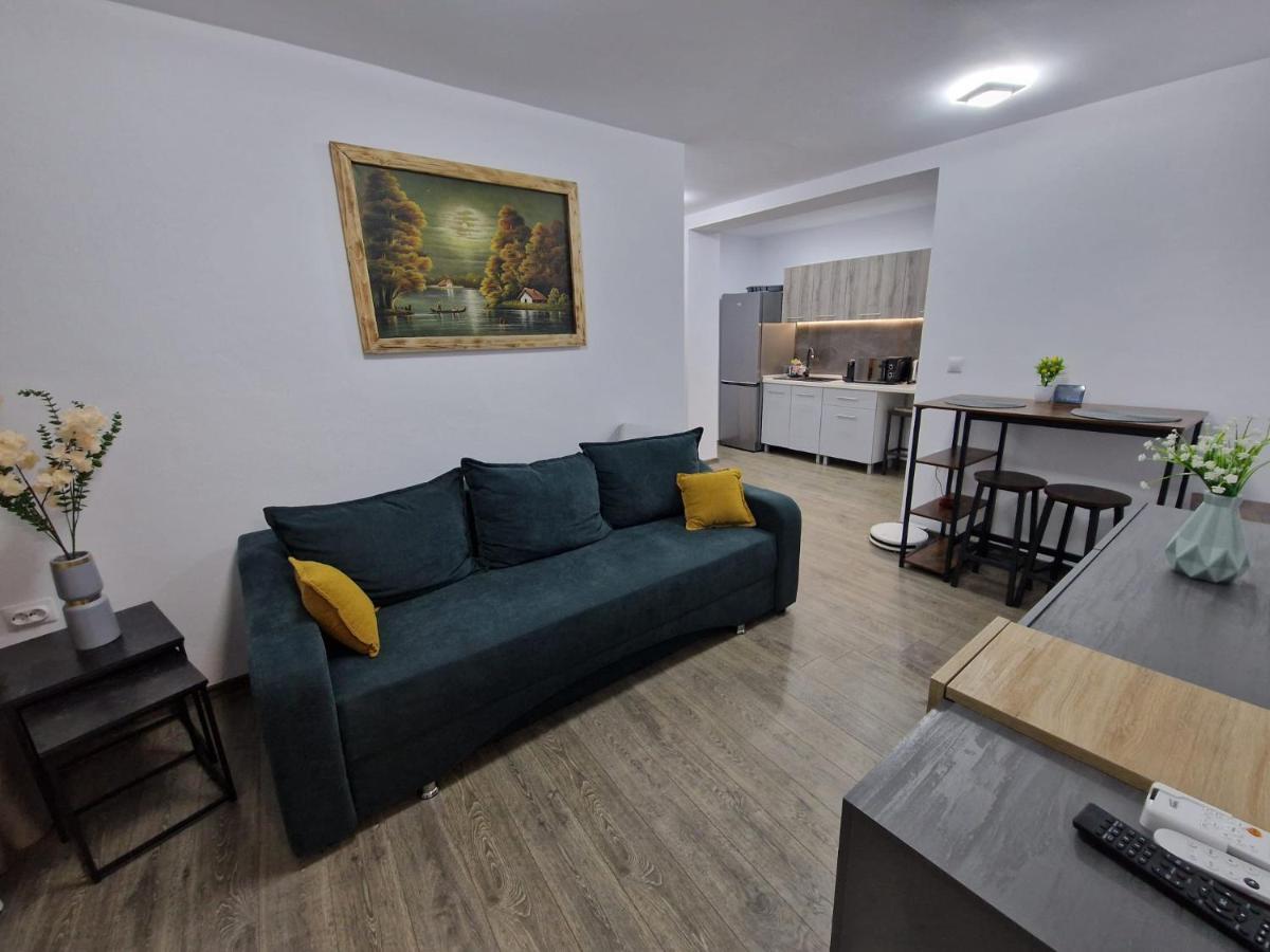 Home Studio Сигишоара Экстерьер фото